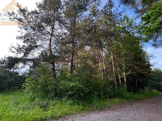 Działka budowlana Rydzynki gm. Tuszyn