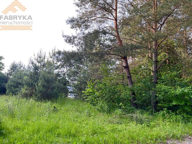 Działka budowlana Rydzynki gm. Tuszyn