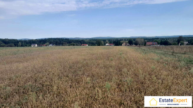 Atrakcyjne siedlisko blisko Jeziora Chańcza