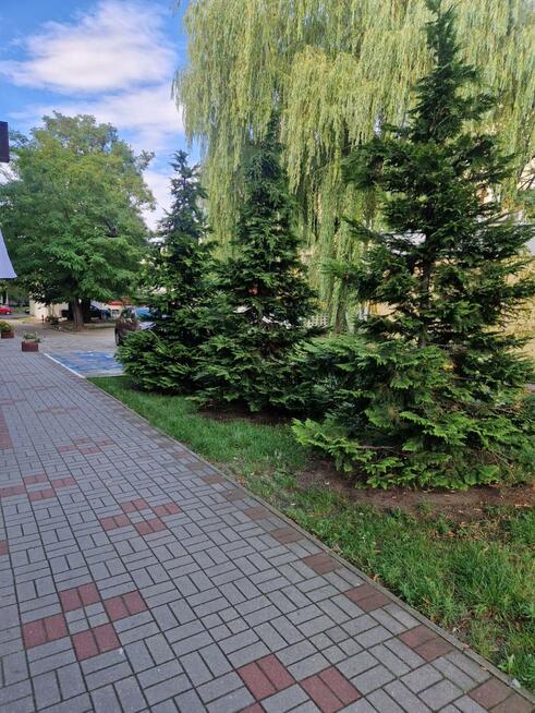 Mieszkanie Konin, al. 1 Maja