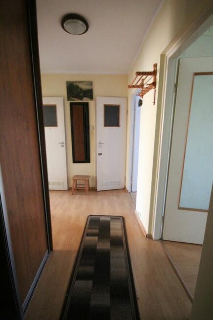 3pok, 51met, ok. Jugosłowiańskiej LOGGIA/PIWNICA (Wrocław)
