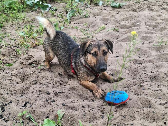 Kapsel - młody, niewielki, przyjazny, rodzinny