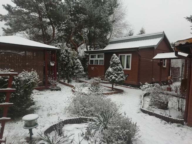 Działka rekreacyjna ROD