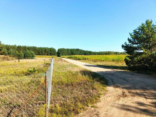 59 arów na Kurpiach - OKAZJA 15 zł/m²