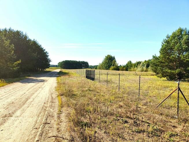 59 arów na Kurpiach - OKAZJA 15 zł/m²