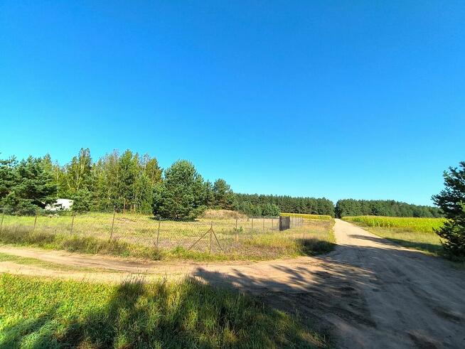 59 arów na Kurpiach - OKAZJA 15 zł/m²