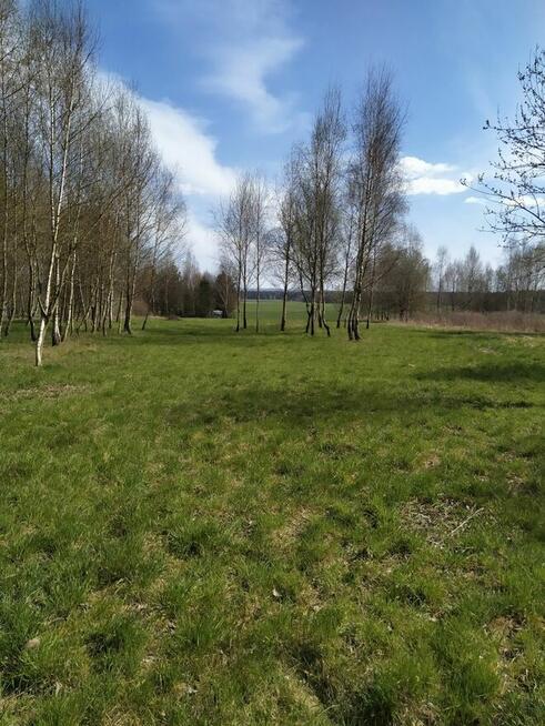 Działka budowlana 3942 m², Myszków, spokojna okolica