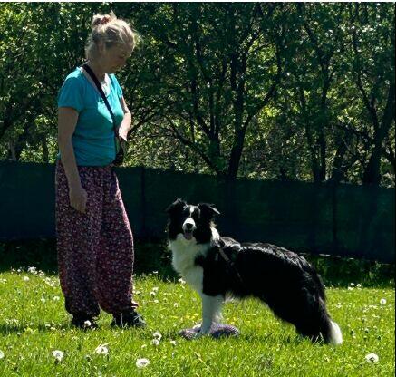 szkolenie psów Myślenice i okolice