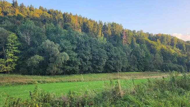 Działka o powierzchni 1,65 ha w miejscowości Lutynia