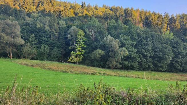 Działka o powierzchni 1,65 ha w miejscowości Lutynia