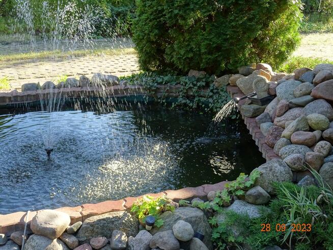 Dom wśród zieleni przy lesie