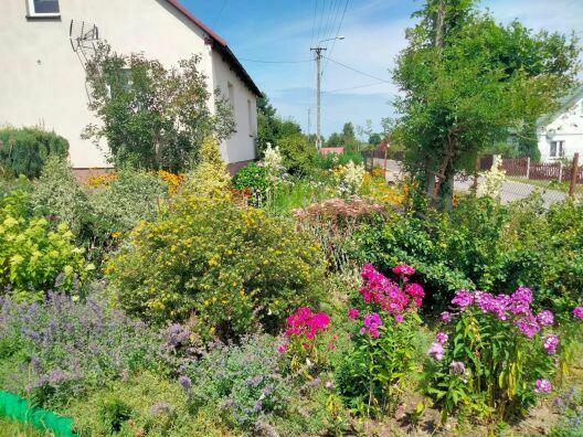 Dom w Wielkiej Wsi gm. Stąporków