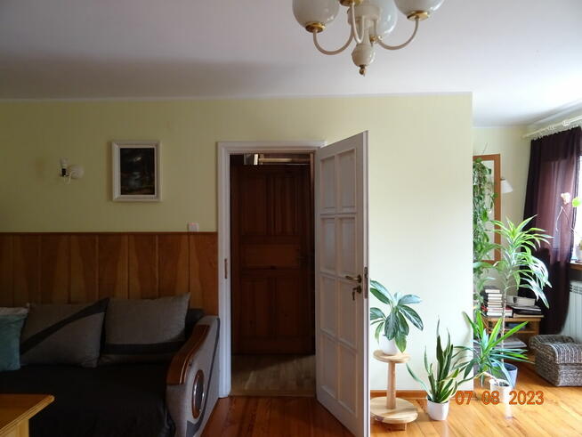 Dom wśród zieleni przy lesie