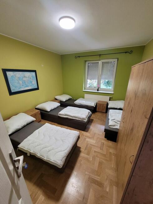 Dom 250m2 do wynajęcia