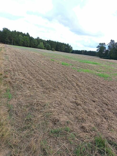 Działka budowana Łęg Ręczyński- Placówki gm. Ręczno