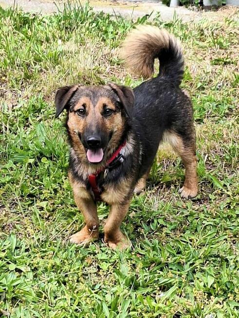 Kapsel - młody, niewielki, przyjazny, rodzinny