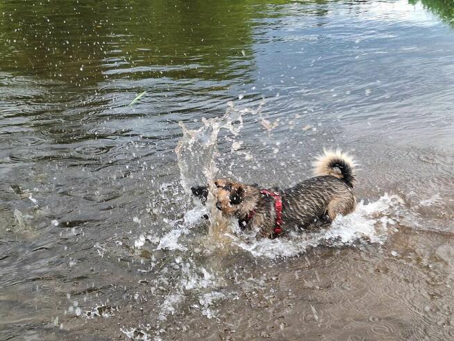 Kapsel - młody, niewielki, przyjazny, rodzinny