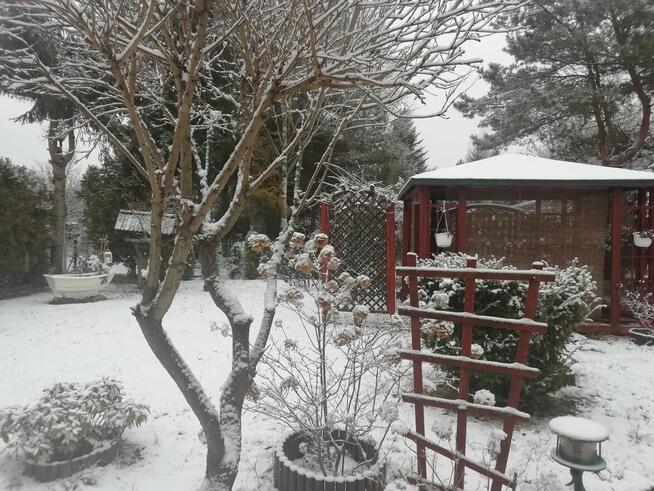 Działka rekreacyjna ROD