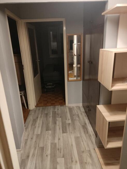 wynajmę 3 pokoje rataje - niski blok Oświecenia Poznań