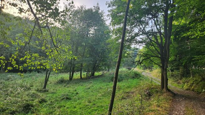 Działka rolno-rekreacyjna z prądem, przy strumyku