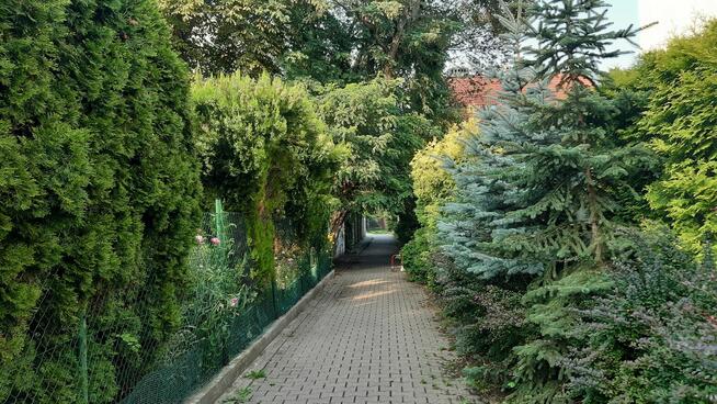 For rent Wilanów, przestrzenne 3 pok. ok. ul. Rotmistrzowska