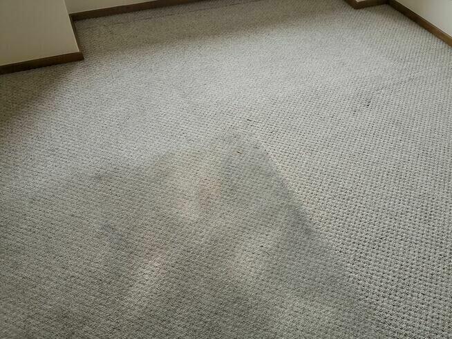 Pranie wykładzin, dywanów