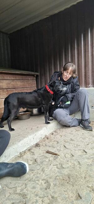 Devo i Devi BŁAGAJĄ o dom!