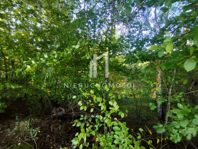 Działka budowlana Lipnica Górna gm. Skołyszyn
