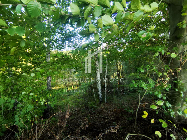 Działka budowlana Lipnica Górna gm. Skołyszyn