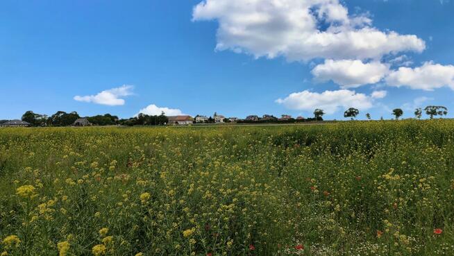 Działka budowlana Chrzanów gm. Kobierzyce, Błękitna