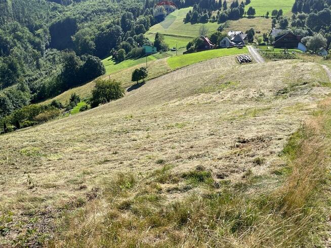 Wisła - Działka w lesie pod Soszowem