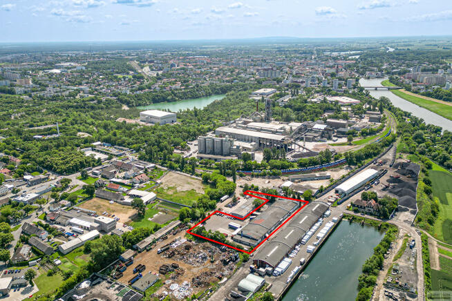 Lokal użytkowy Opole