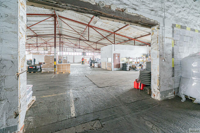 Lokal użytkowy Opole