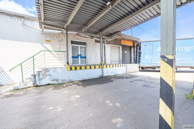 Lokal użytkowy Opole