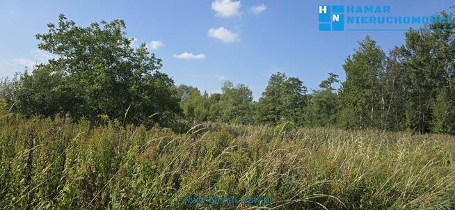 Działka w prężnie rozwijającej się okolicy