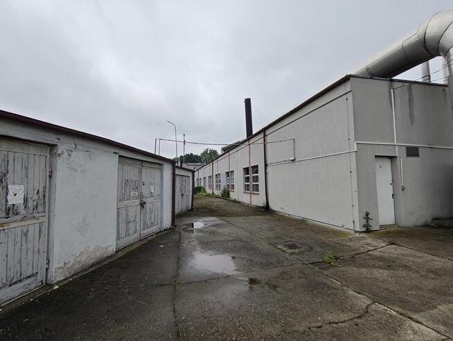 Lokal użytkowy Legnica,