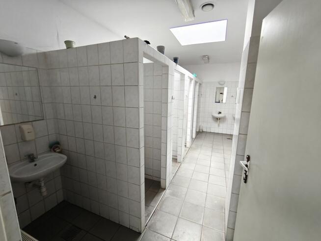 Lokal użytkowy Legnica,