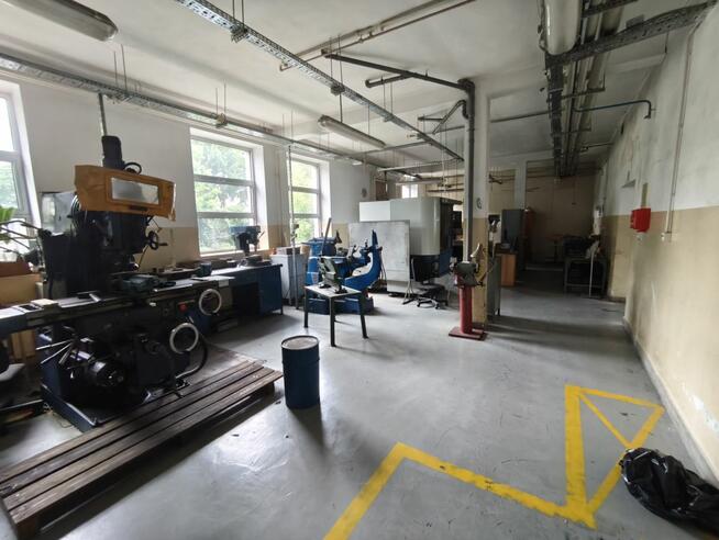 Lokal użytkowy Legnica,