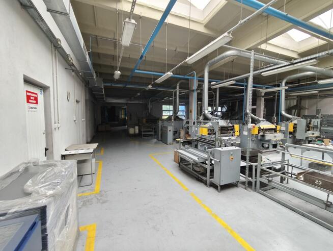 Lokal użytkowy Legnica,