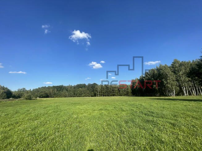 Działka siedliskowa Łubno gm. Wiskitki,