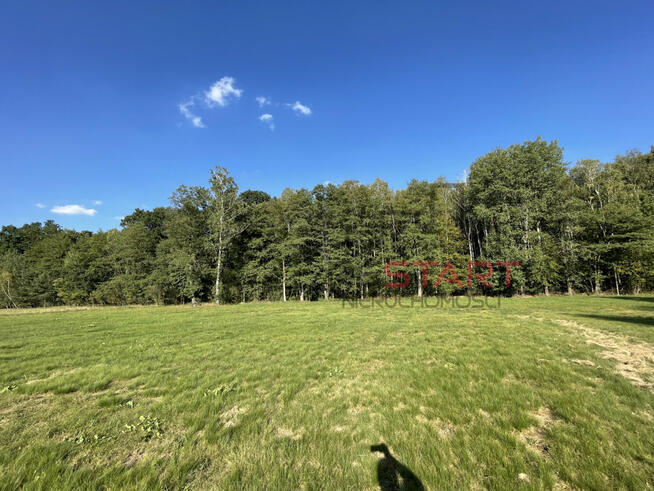 Działka siedliskowa Łubno gm. Wiskitki,