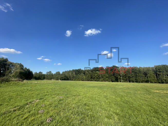 Działka siedliskowa Łubno gm. Wiskitki,