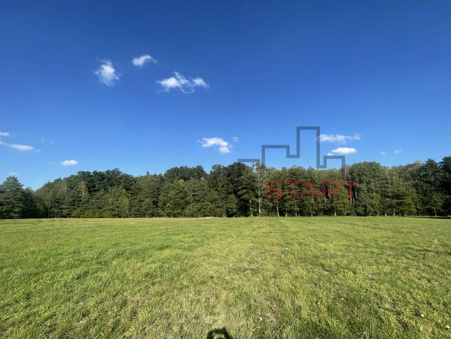 Działka siedliskowa Łubno gm. Wiskitki,