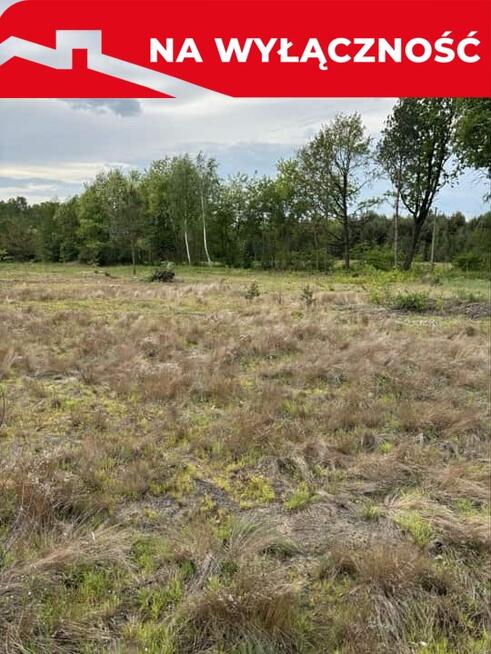 Działka budowlana 28 arów w Pustkowie Budy 168000!