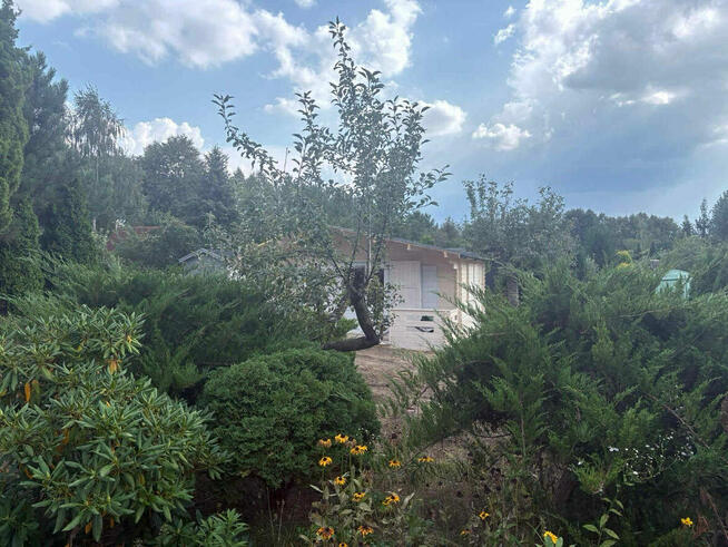 Na sprzedaż działka rekreacyjna 412 m² z domkiem drewnianym