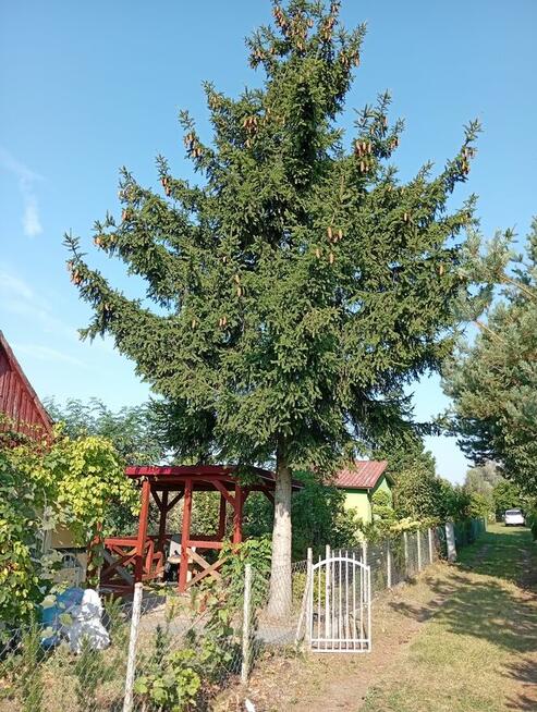 Sprzedam działkę Rodos