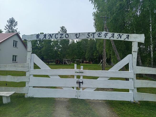 Domek, sauna,balia, ranczo