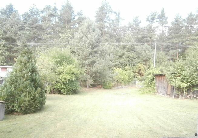 Dom murowany przy lesie Czeremcha