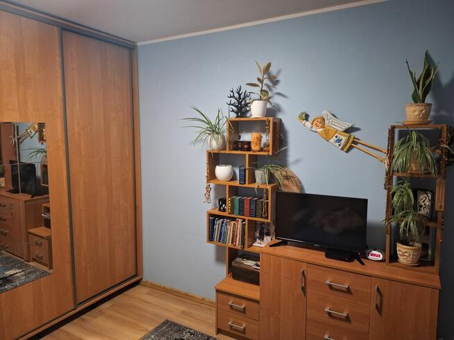 Mieszkanie super lokalizacja /5 min pieszo do morza