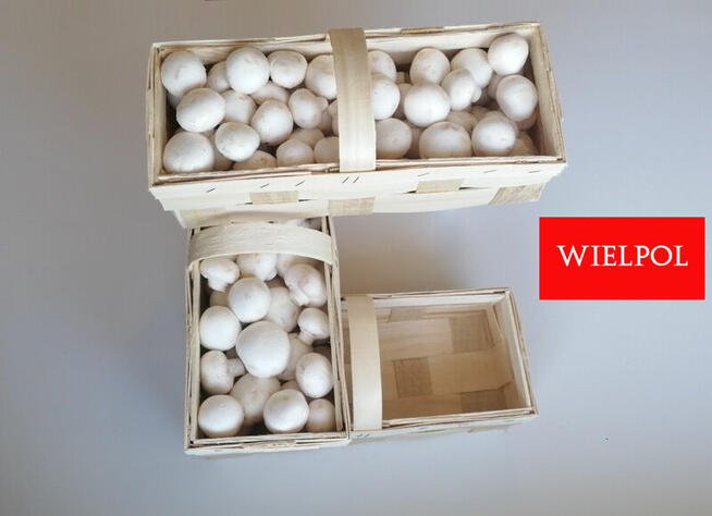 Sprzedaż opakowań do białych pieczarek.